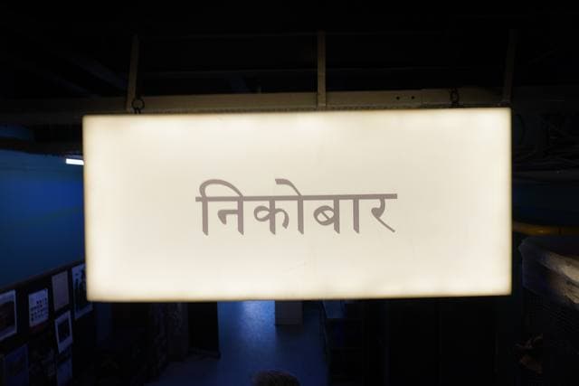 a language, glowing