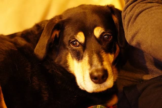 old eyes, watching